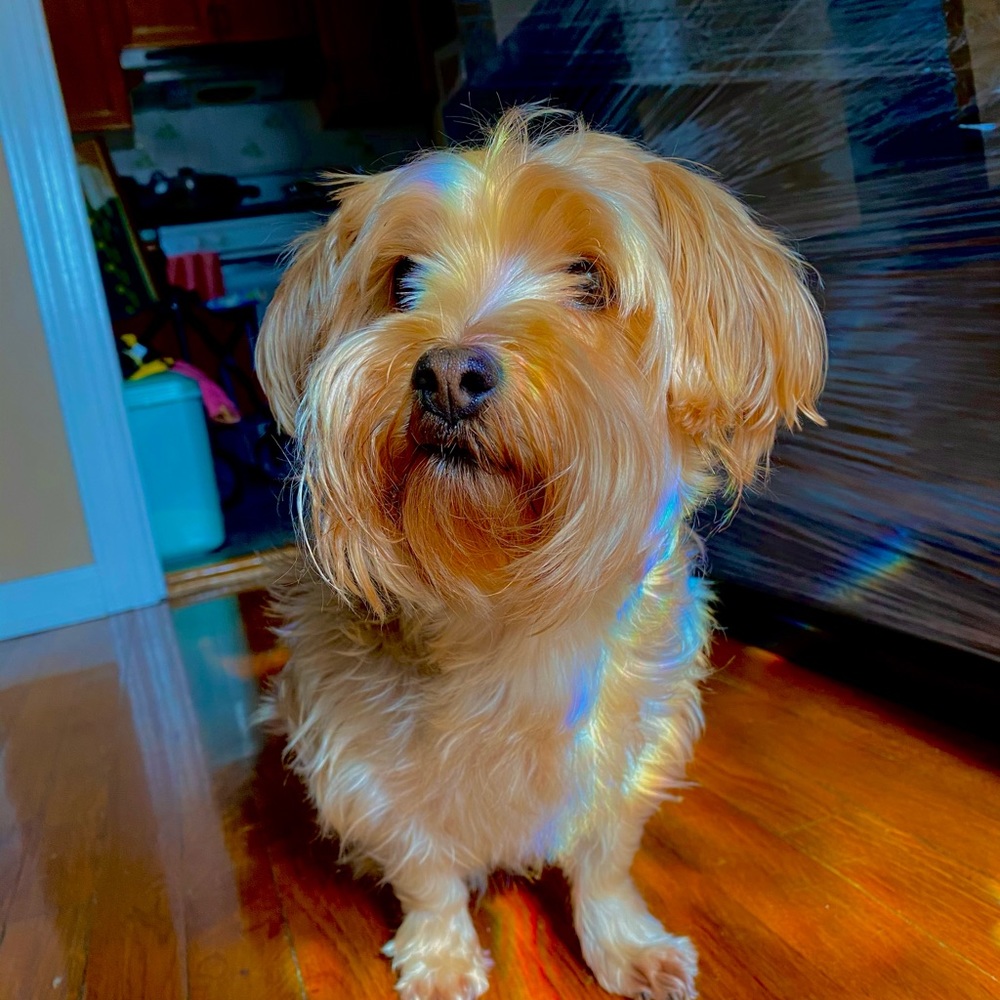 Meet your Posher, Michelle